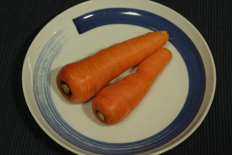 皿にのせたにんじん2本の提供写真