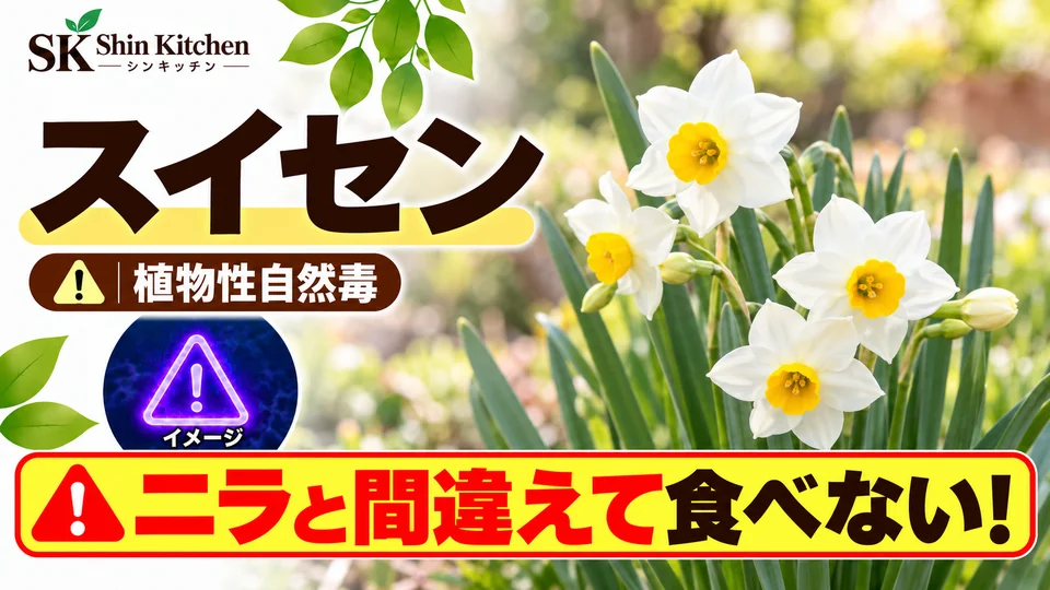 スイセン|ニラとの取り違えに注意。白い花と葉の説明用イメージ