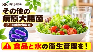 その他の病原大腸菌｜生野菜・飲用水と大腸菌の模式図。食品と水の衛生管理に注意