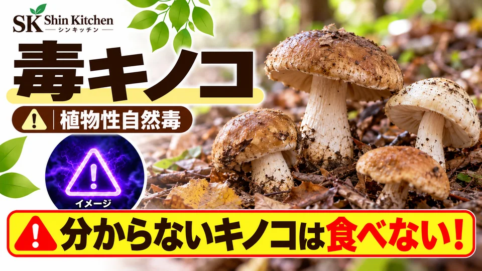 毒キノコ|分からないキノコは食べない。野生キノコと注意表示のイメージ