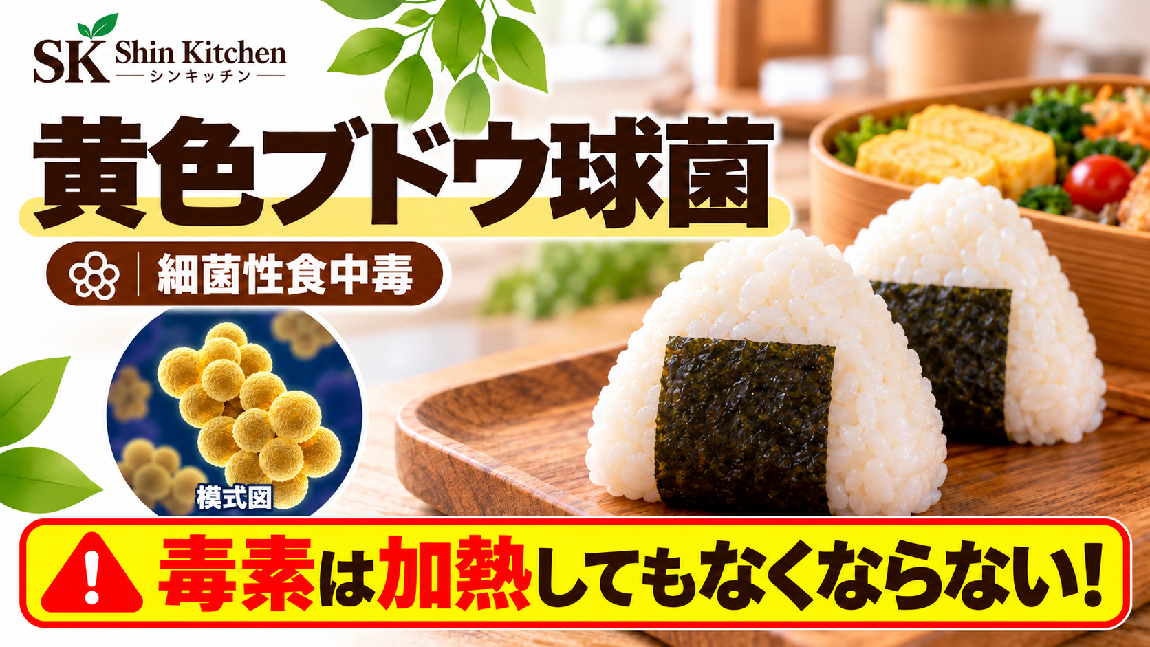黄色ブドウ球菌による細菌性食中毒。おにぎりとお弁当、球菌が集まる模式図。毒素は加熱してもなくならないことへの注意。 円形の原因体の図に「模式図」と表示。